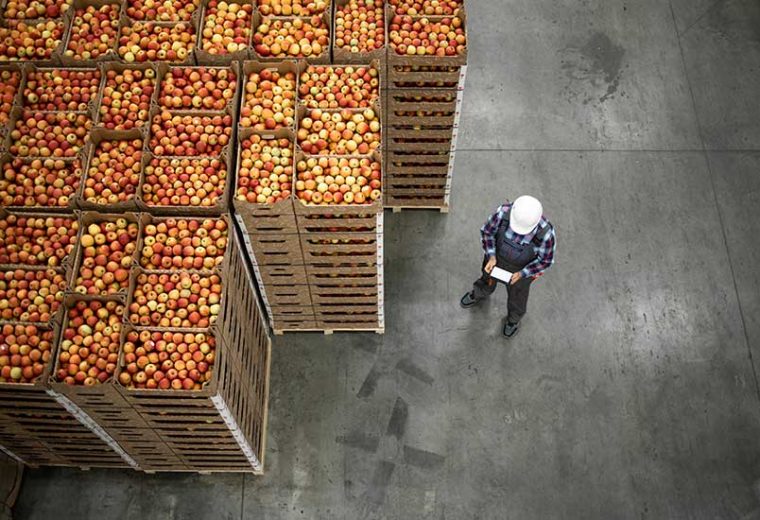 An image of fruits and a warehouse employee