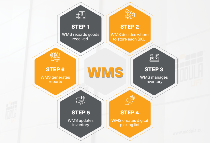 A WMS process infographic