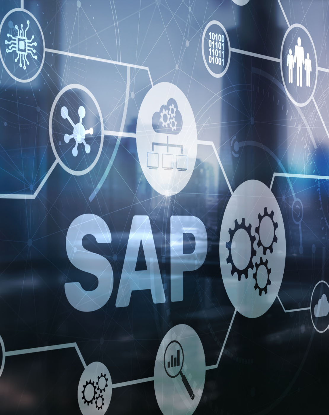 Modula IDOC – SAP Integration Protocol